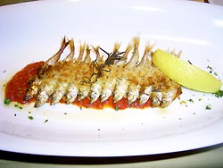 ���J�T�M�����Ă�