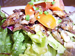 ������ׂ��̃T���_